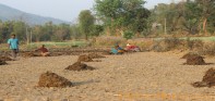 जनप्रतिनिधिको मनोमानी, कृषिमा कन्जुस्याईं
